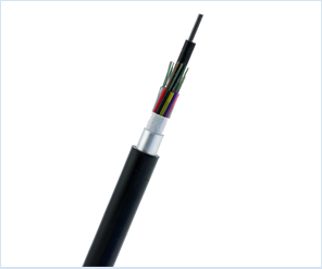 1542093206801954.png 1.png