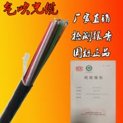 氣吹光纜 歐孚光纜廠家生產氣吹光纜